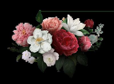 Beautiful hand drawn various roses. poster