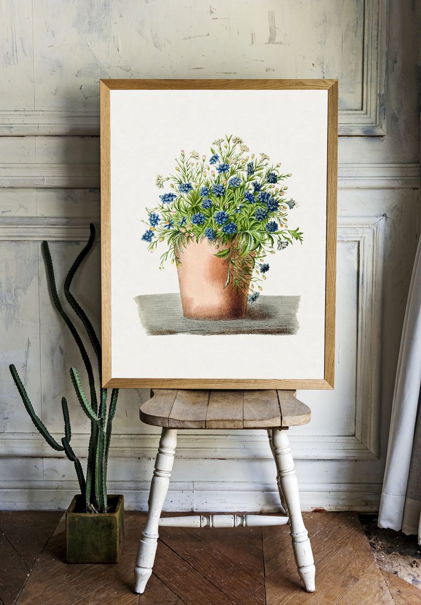 Hand drawn garden lobelia pot. — room view 1