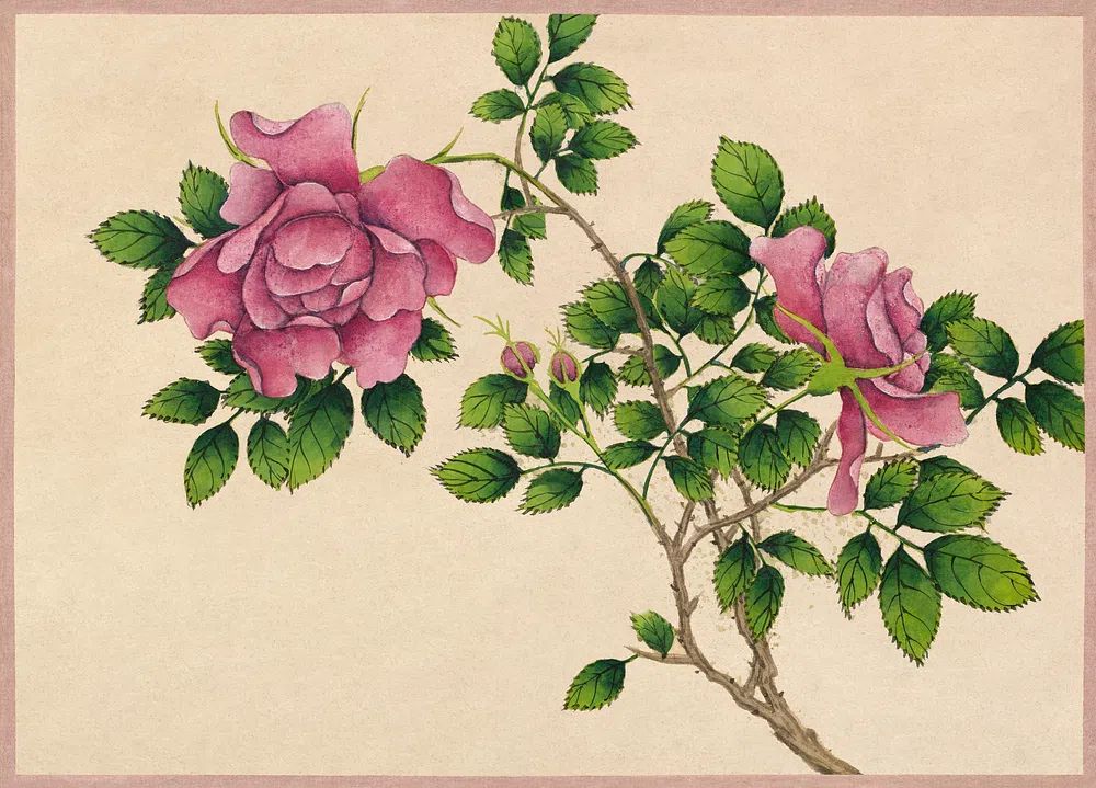 Rose (18th Century) painting high. poster detail