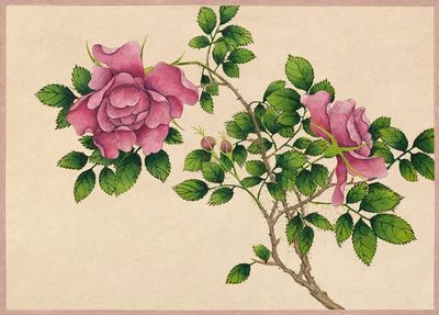 Rose (18th Century) painting high. poster