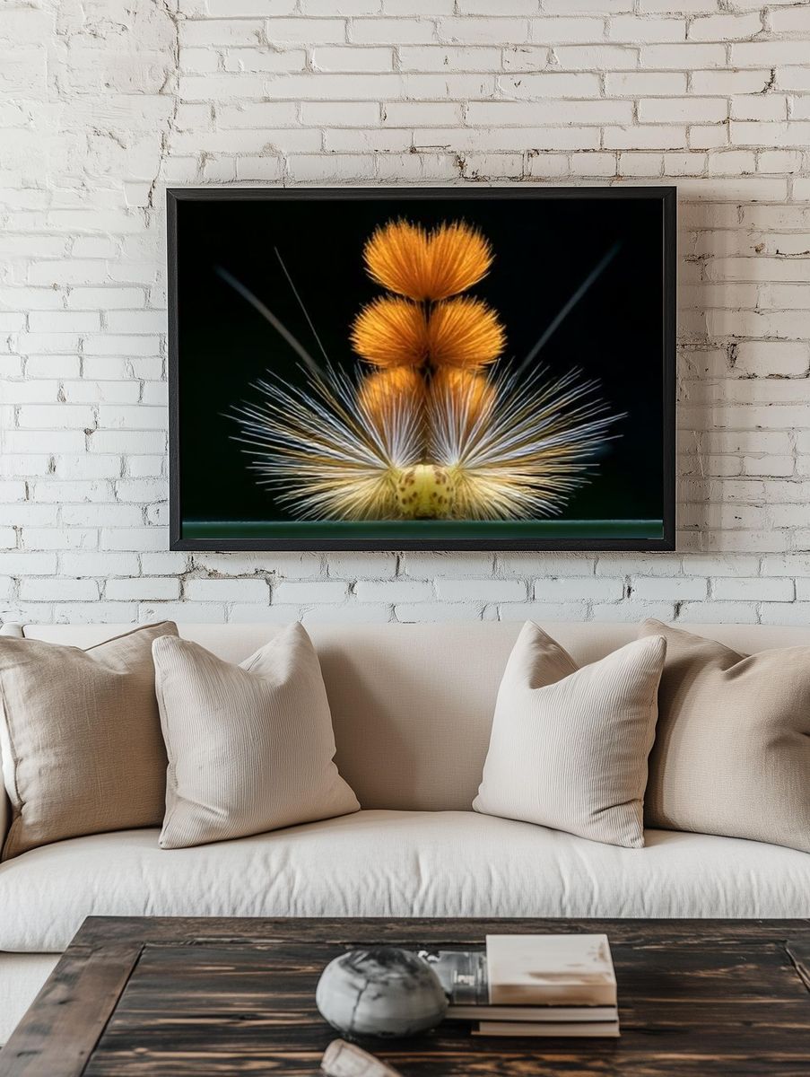 Orange Thistle Macro Photography Poster. — room view 1