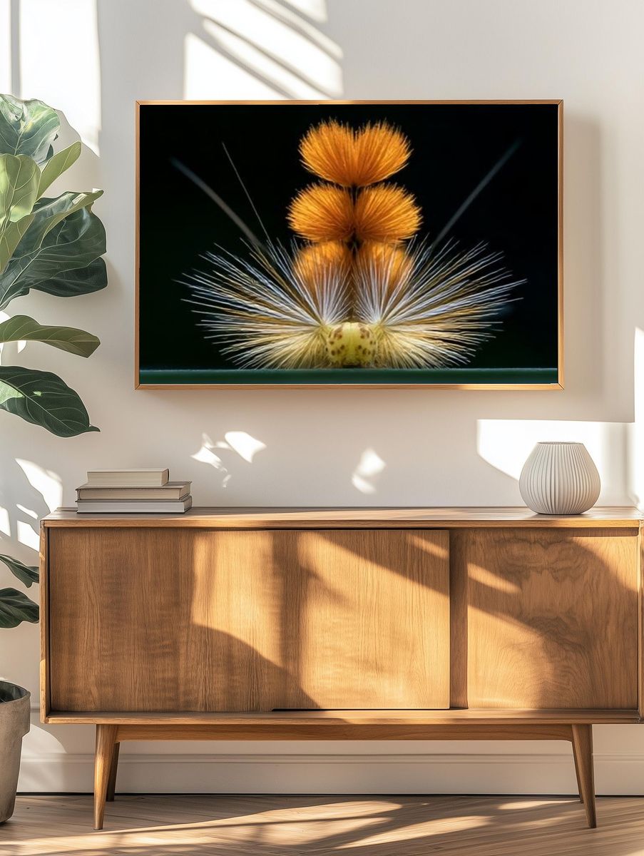 Orange Thistle Macro Photography Poster. — room view 3