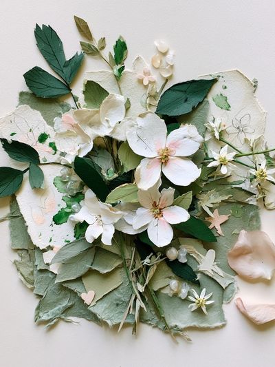 Pressed Floral Collage Botanical Print. poster print