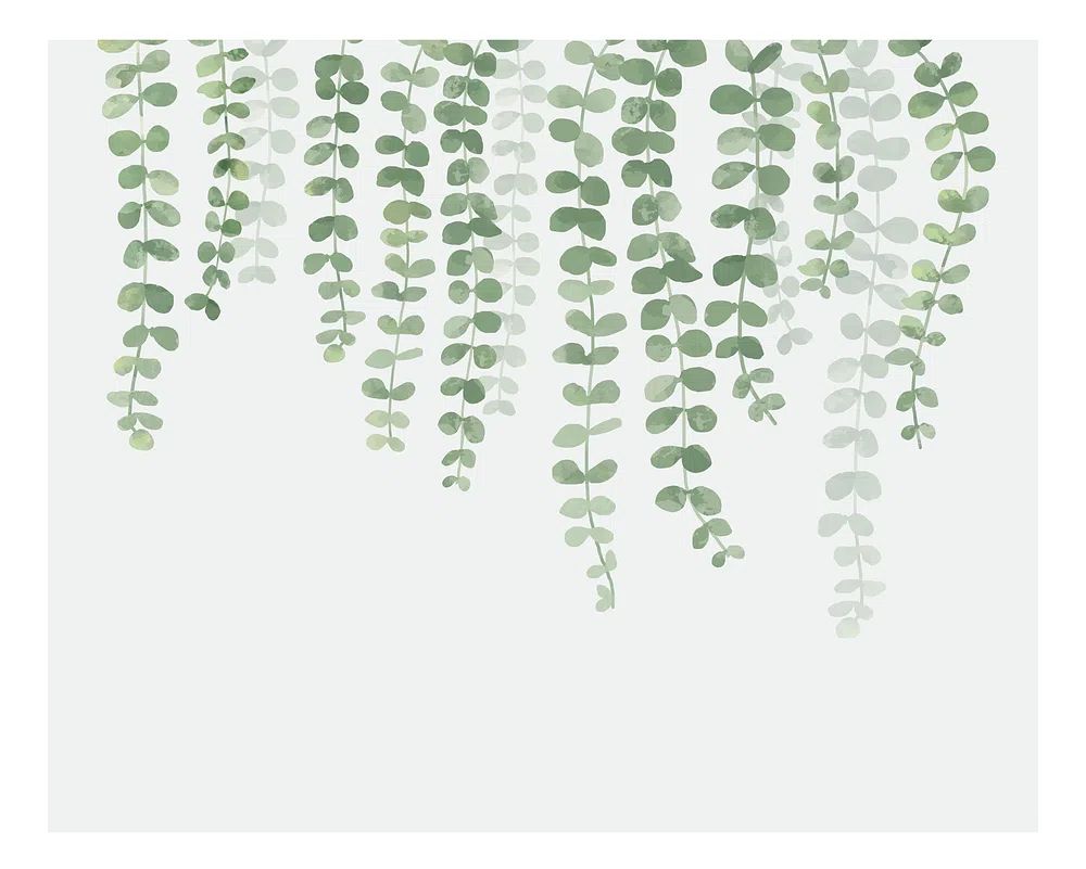 Illustration hanging plant isolated white. poster detail