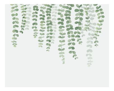 Illustration hanging plant isolated white. poster