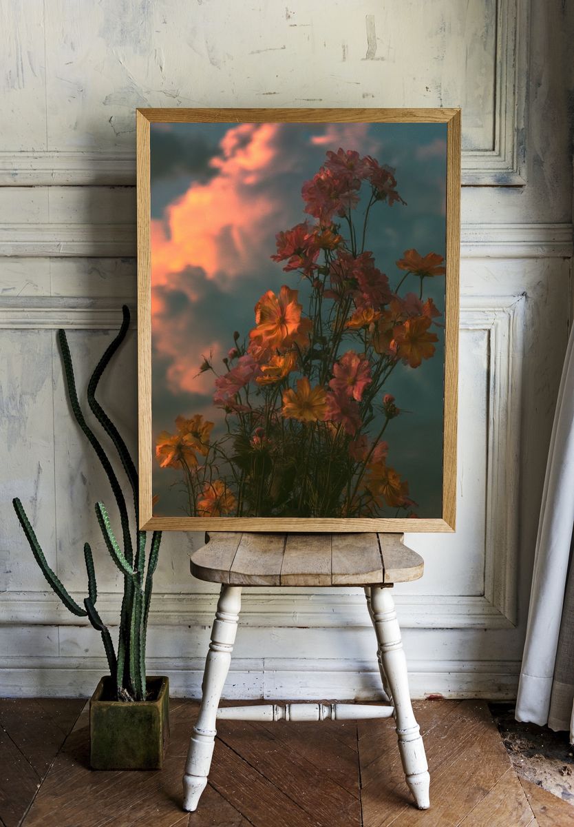 Sunset Cosmos Bloom Poster. room preview