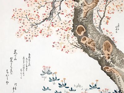 Katsushika Hokusai’s cherry tree (1760–1849). poster
