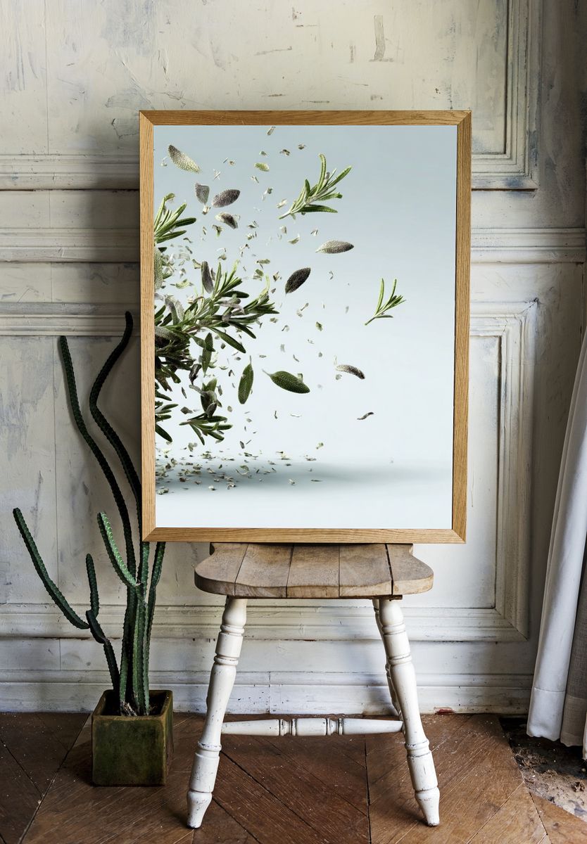 Floating Rosemary — Botanical Print room preview
