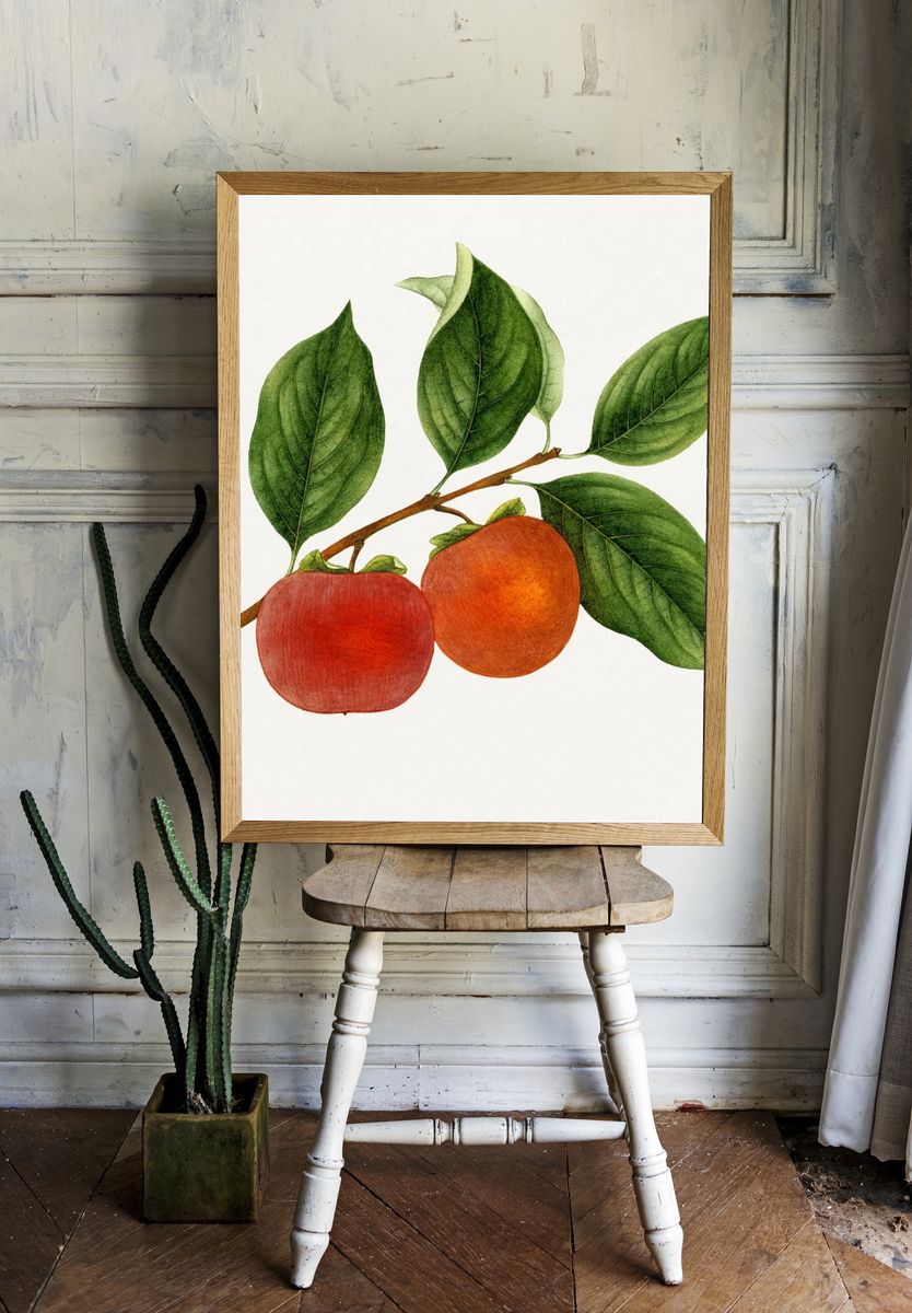 Vintage persimmon twig. Original U.S. — room view 1