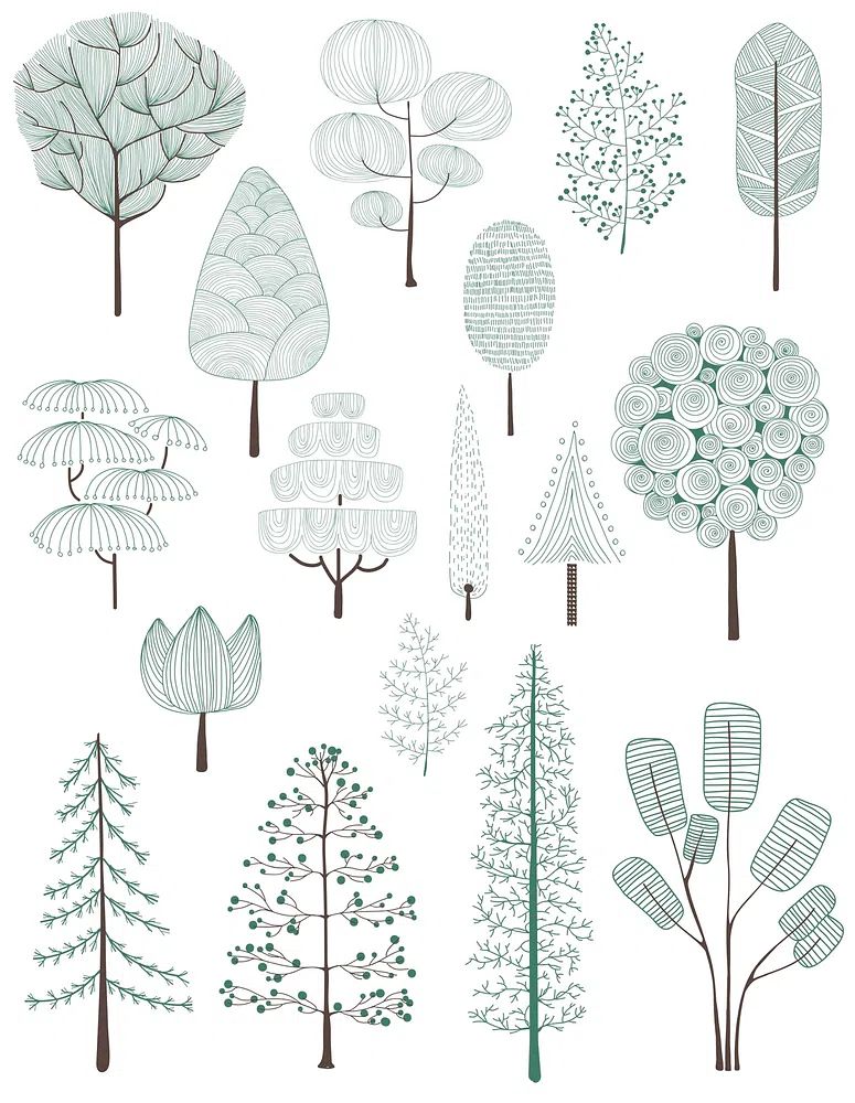 Illustration of pine trees collection. poster detail
