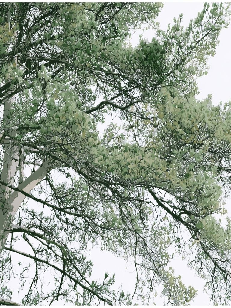 Eucalyptus Canopy Botanical Print. poster detail