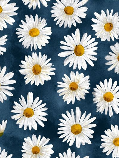 Daisy Field Watercolor Print. poster