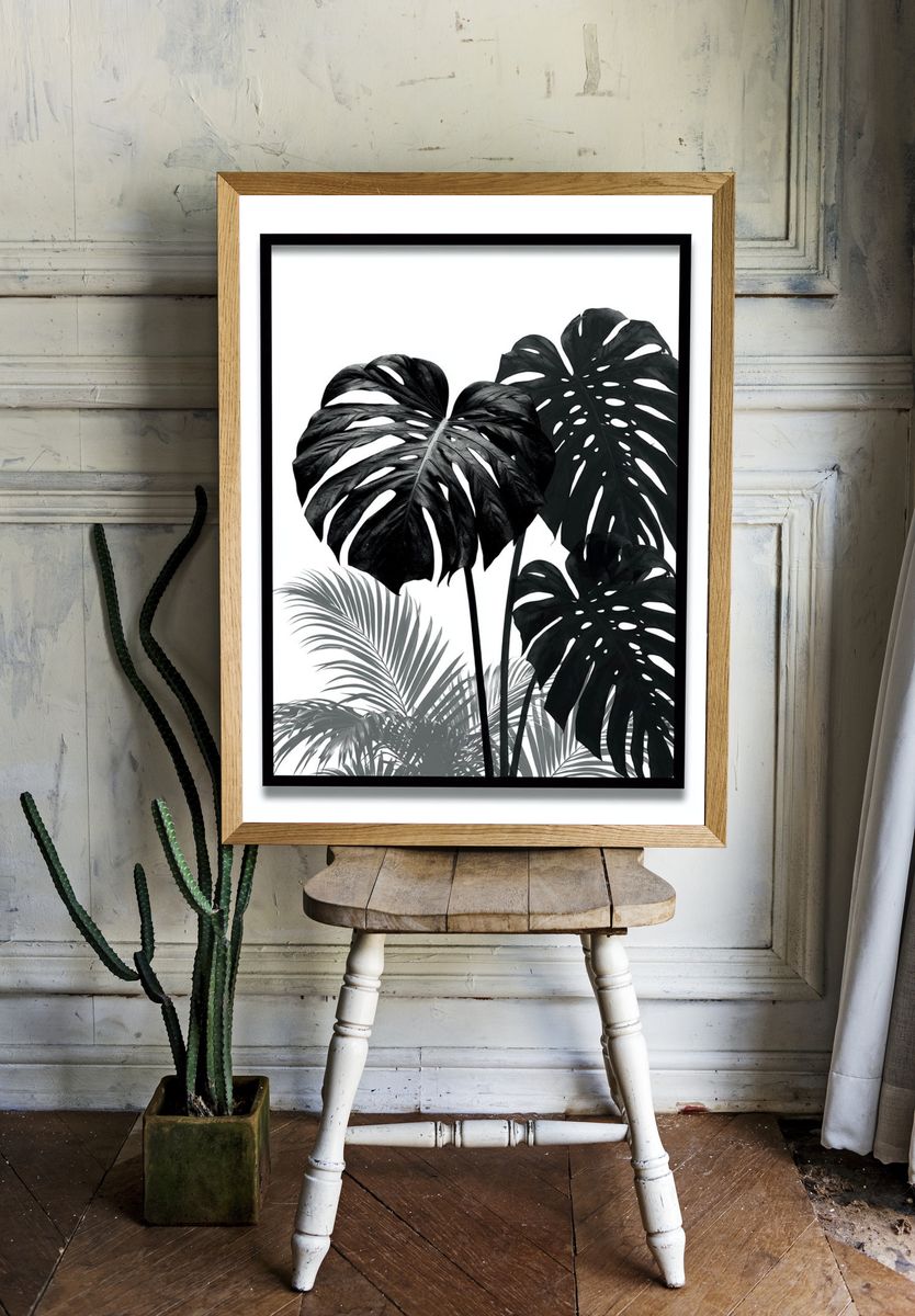 Monochrome Monstera Botanical Print. — room view 1