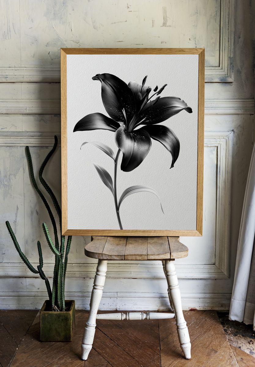Black Lily Botanical Print. — room view 1