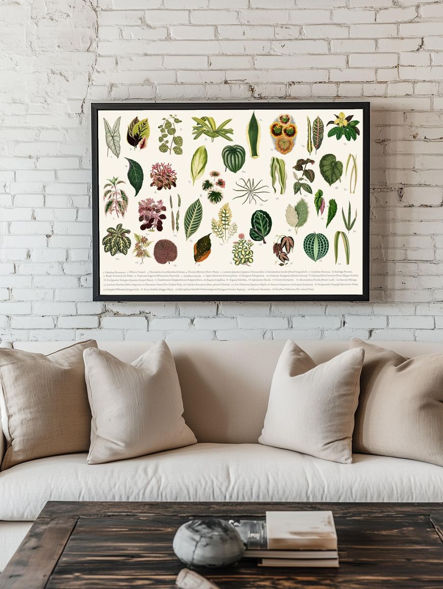 Collection leaves found Shirley Hibberd. room preview