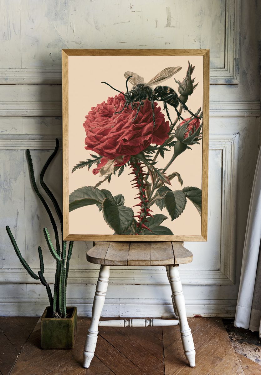 Bee on Rose Botanical Print. — room view 1