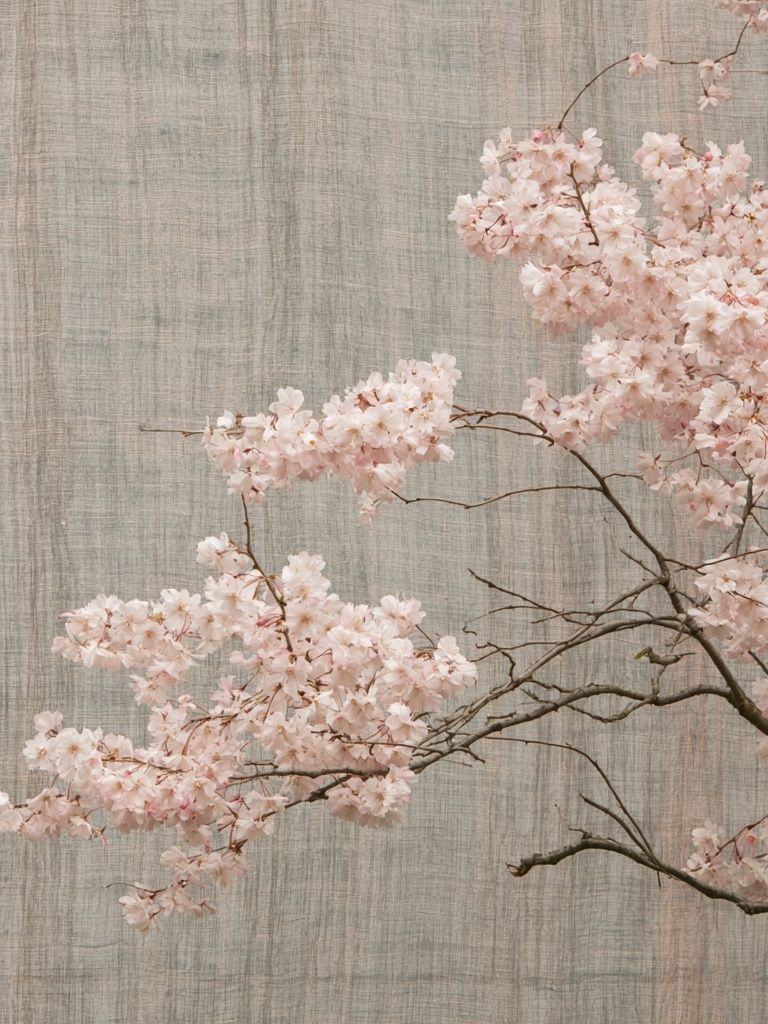 Cherry Blossom Branch Print. poster detail