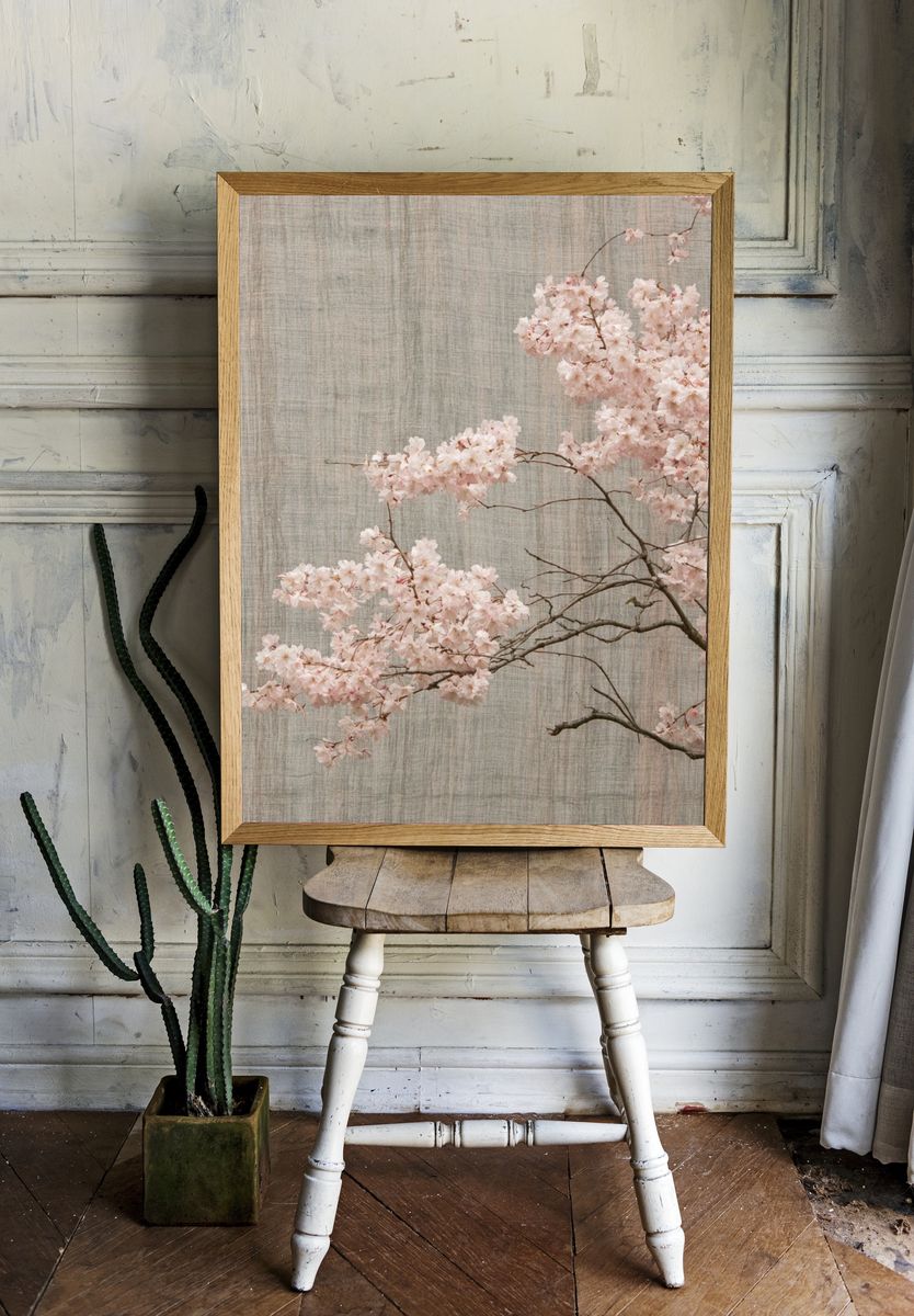 Cherry Blossom Branch Print. — room view 1