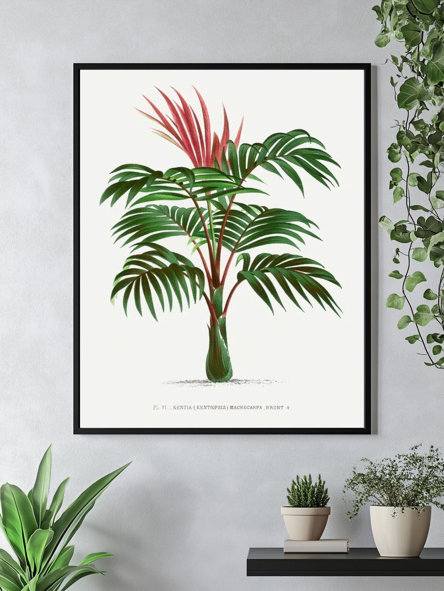 Vintage palm tree illustration. Digitally. — room view 4