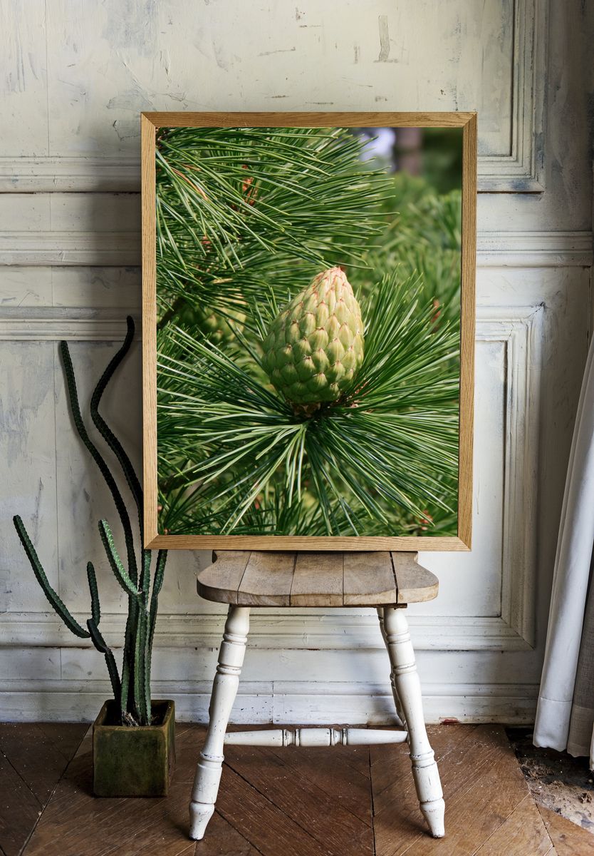 Pine Cone Close-Up Nature Print. — room view 1