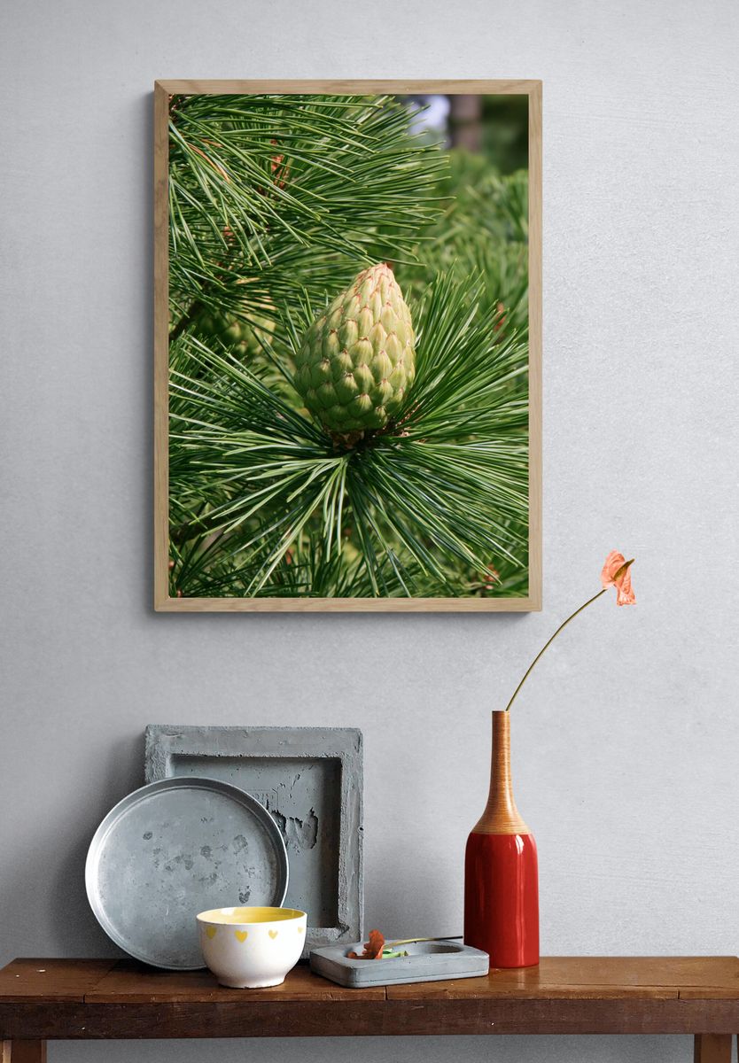 Pine Cone Close-Up Nature Print. — room view 3
