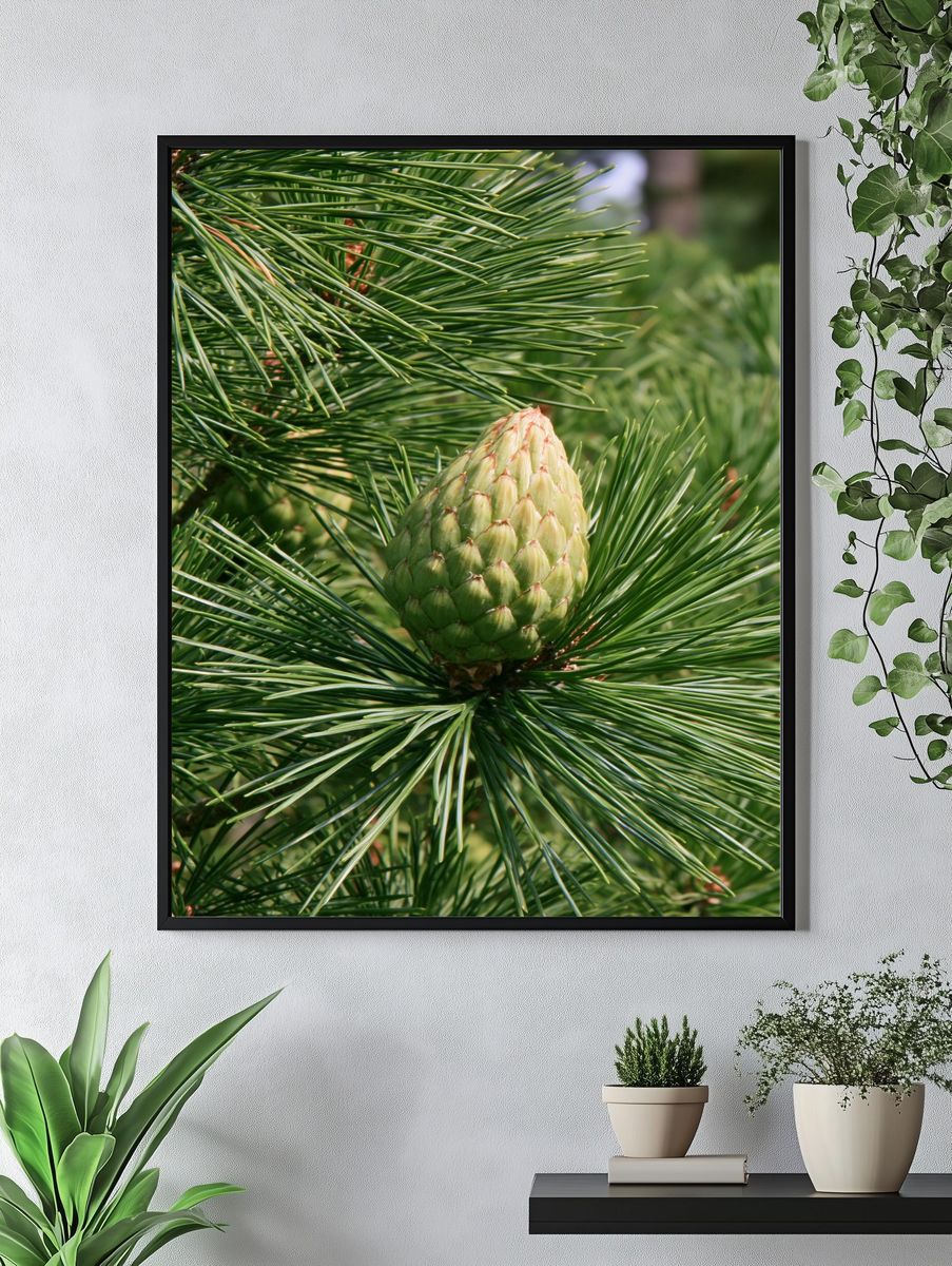 Pine Cone Close-Up Nature Print. — room view 4