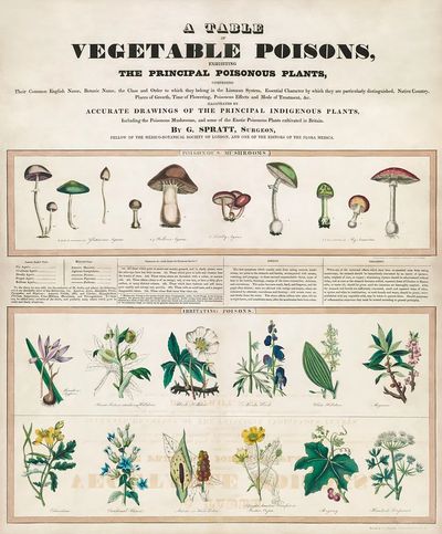 Poisonous mushrooms: Irritating poisons (1840–1850).