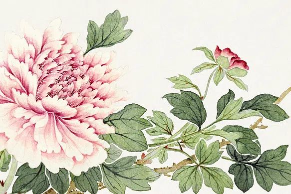 Flower painting late 18th century. poster detail