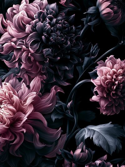 Dark Peony Bloom Botanical Print. poster