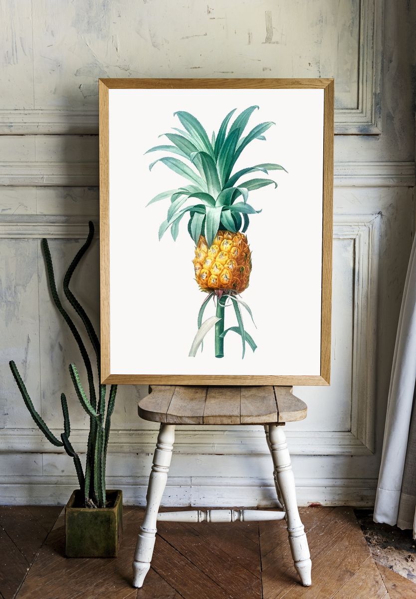 Vintage Illustration of Pineapple. room preview