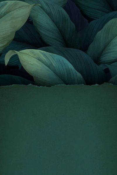 Torn green paper tropical leaf. poster print