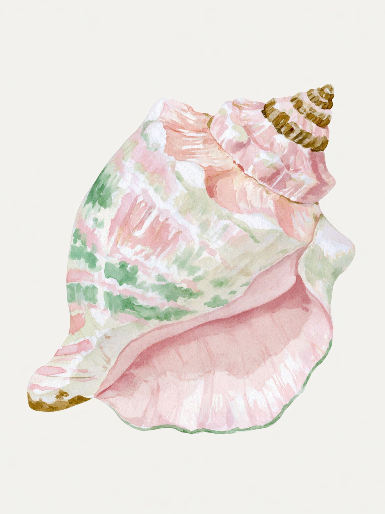 Pastel Seashell Watercolor Print. poster — botanical art