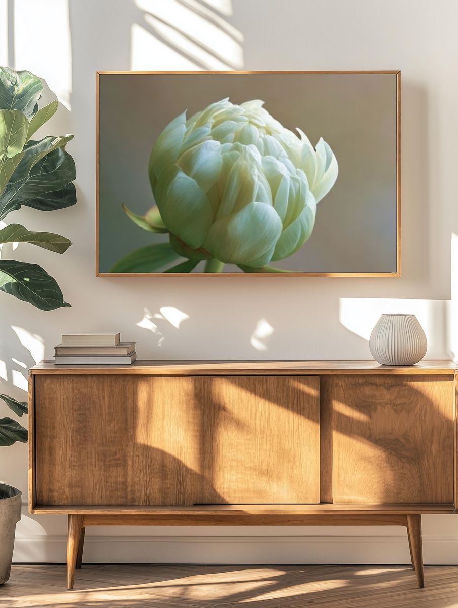 Pale Peony Bloom Photography Poster. — room view 3