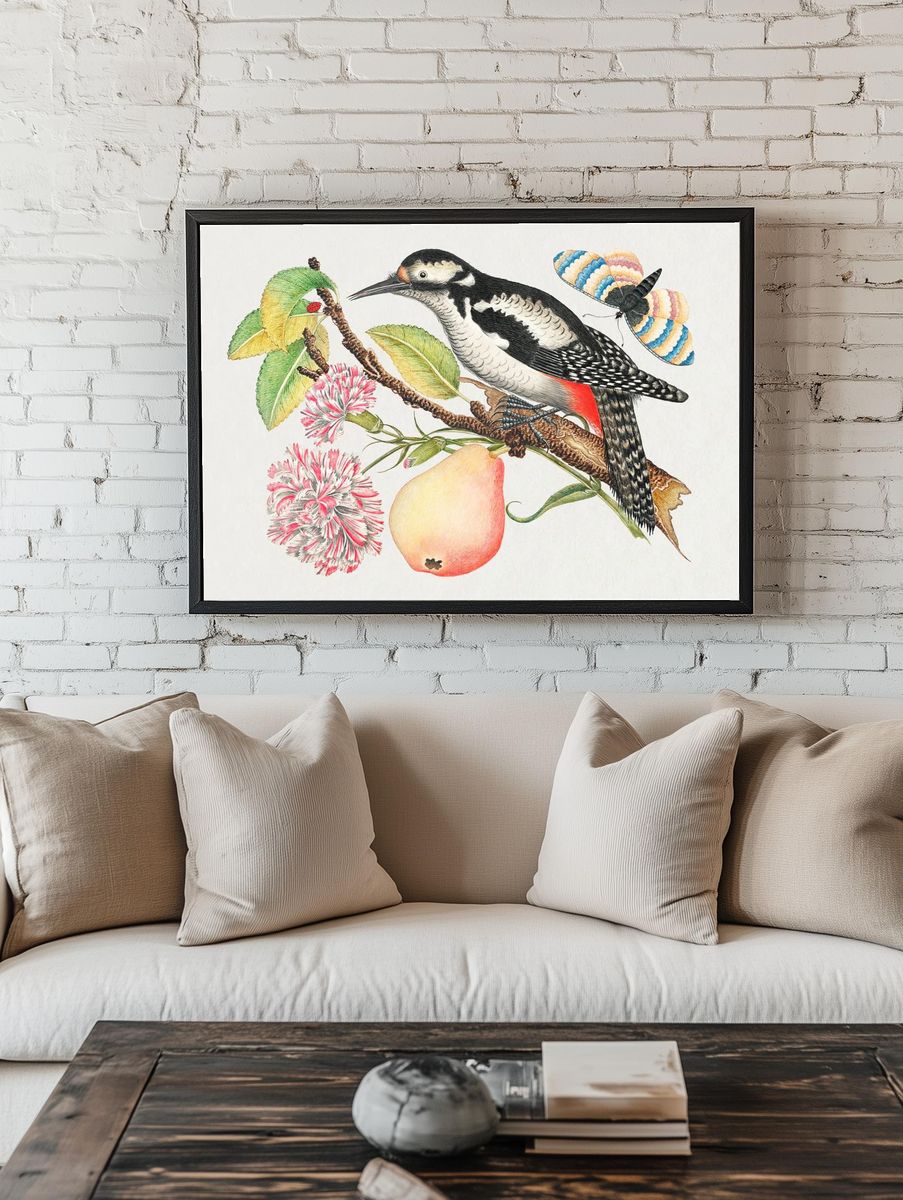 18th century illustration bird perched. — room view 1