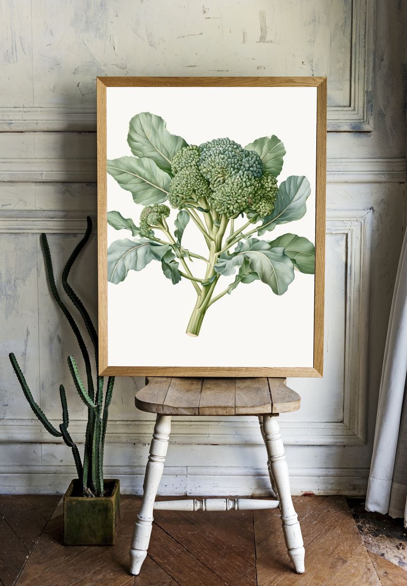 Broccoli Botanical Poster. room preview