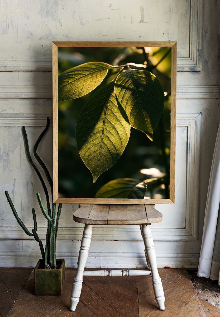 Sunlit Green Leaves Botanical Print. room preview