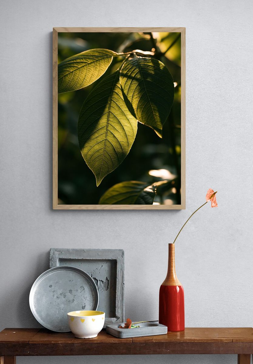 Sunlit Green Leaves Botanical Print. — room view 3