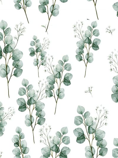 Eucalyptus Sprigs Watercolor Print.