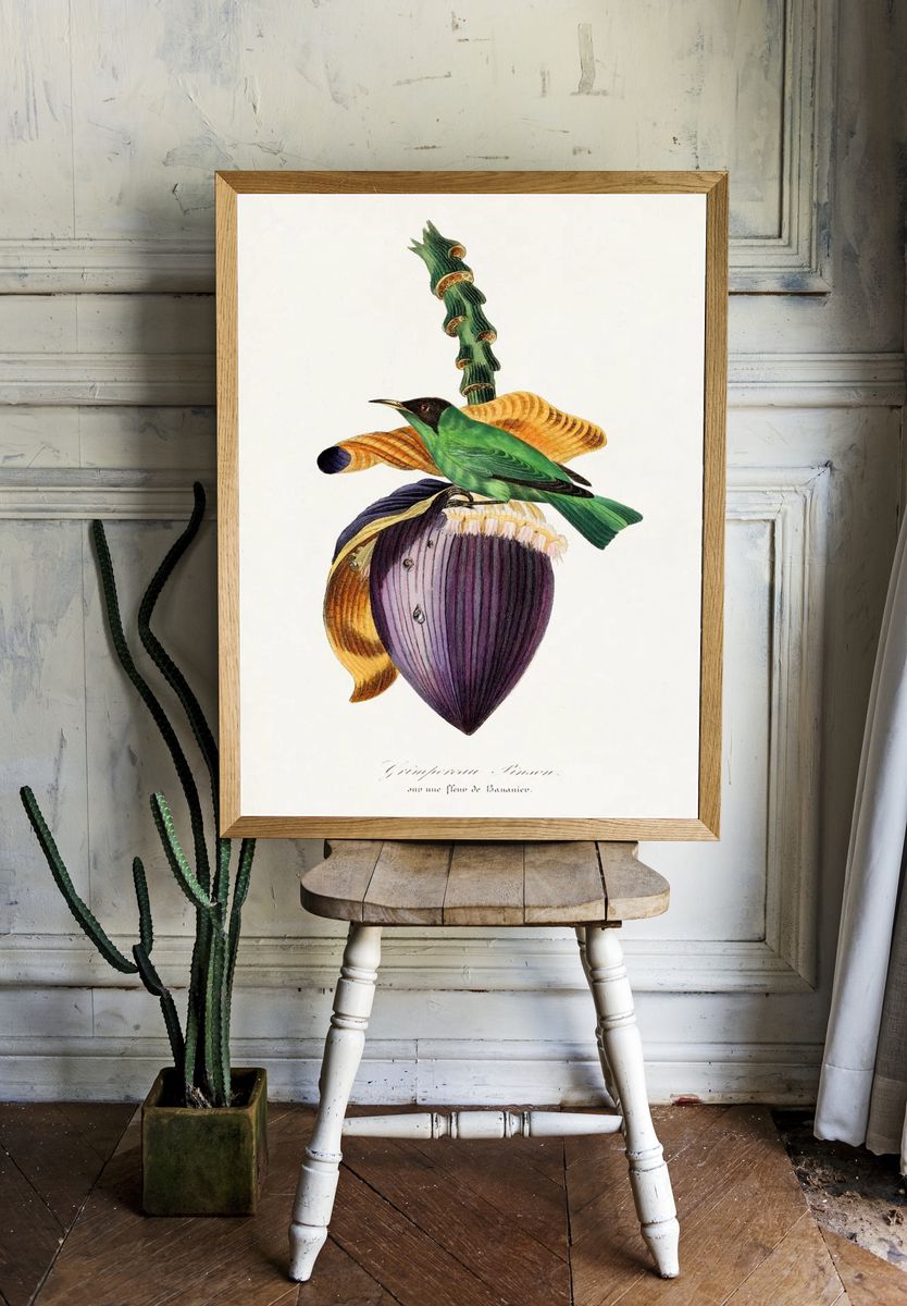 Treecreeper bird painting. Digitally enhanced. room preview