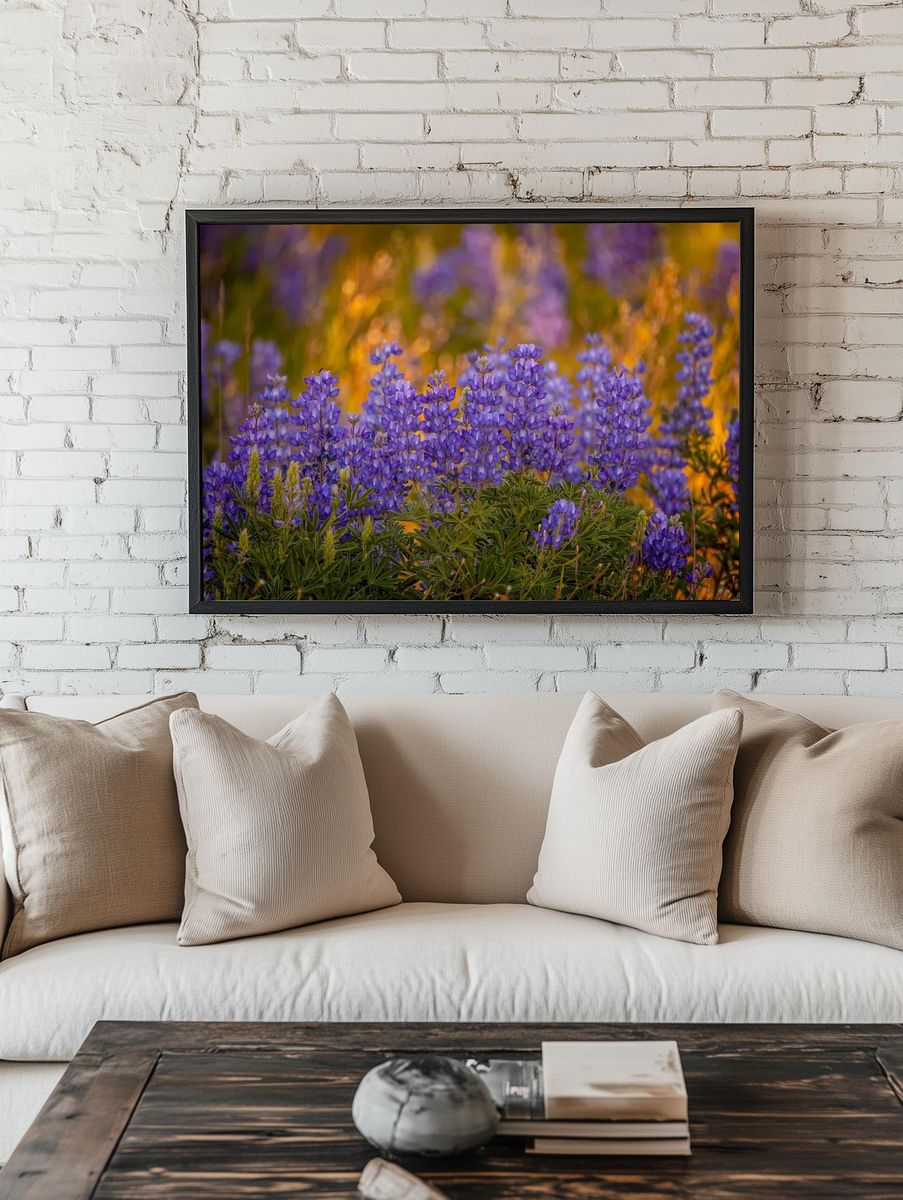 Purple Lupine Meadow Nature Print room preview