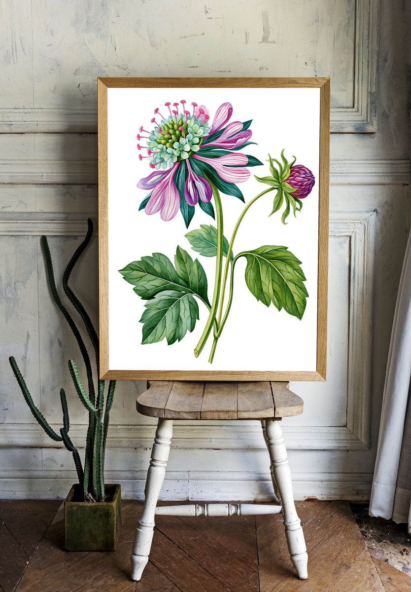 Pink Wildflower Botanical Poster. — room view 1