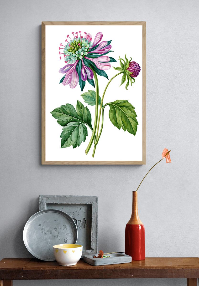Pink Wildflower Botanical Poster. — room view 3