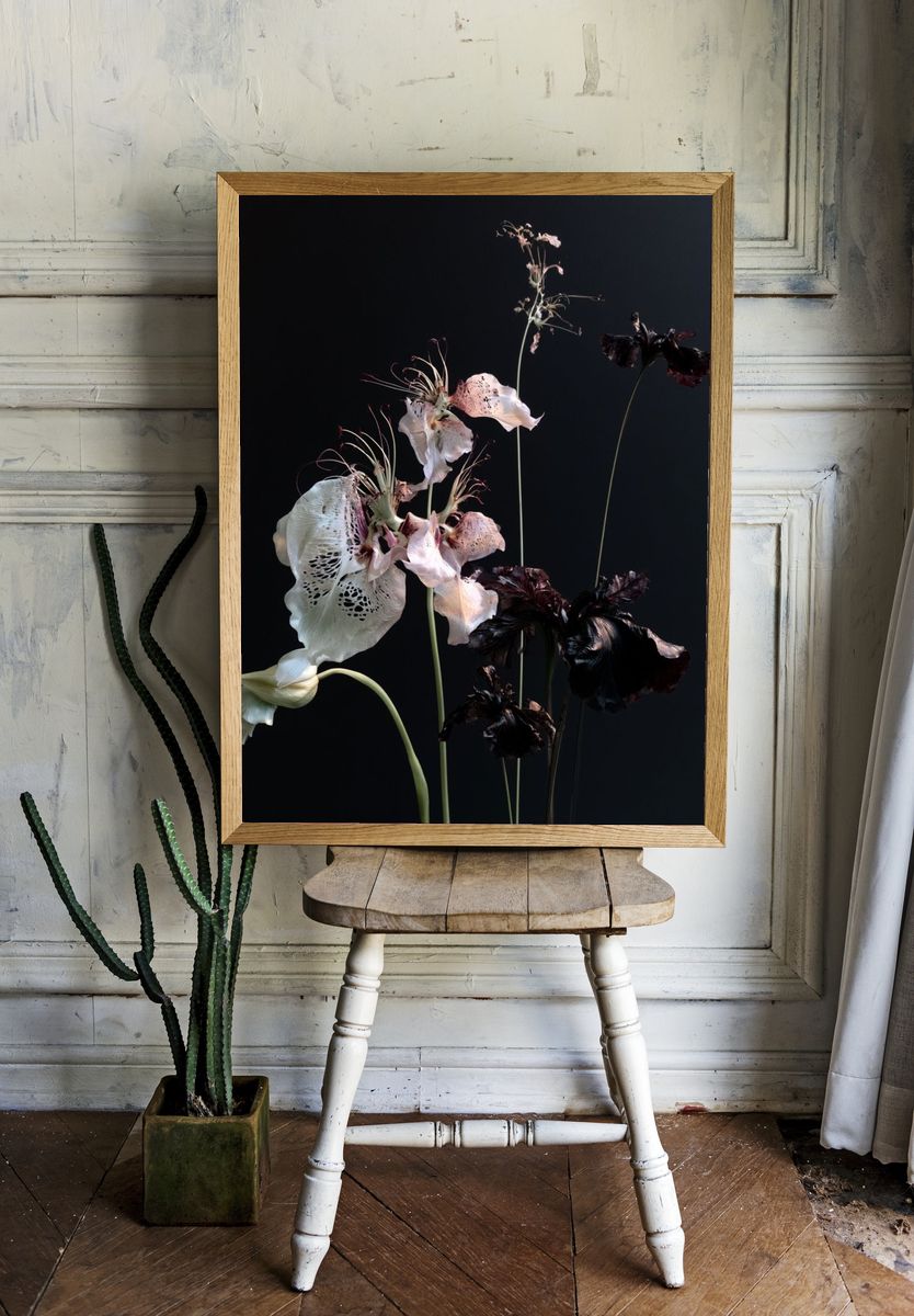 Dark Floral Still Life Photography Poster. — room view 1