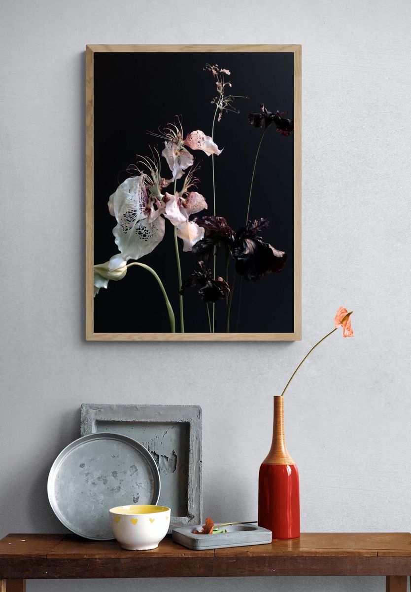Dark Floral Still Life Photography Poster. — room view 3