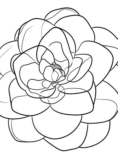 Abstract Flower Line Art Poster. poster print