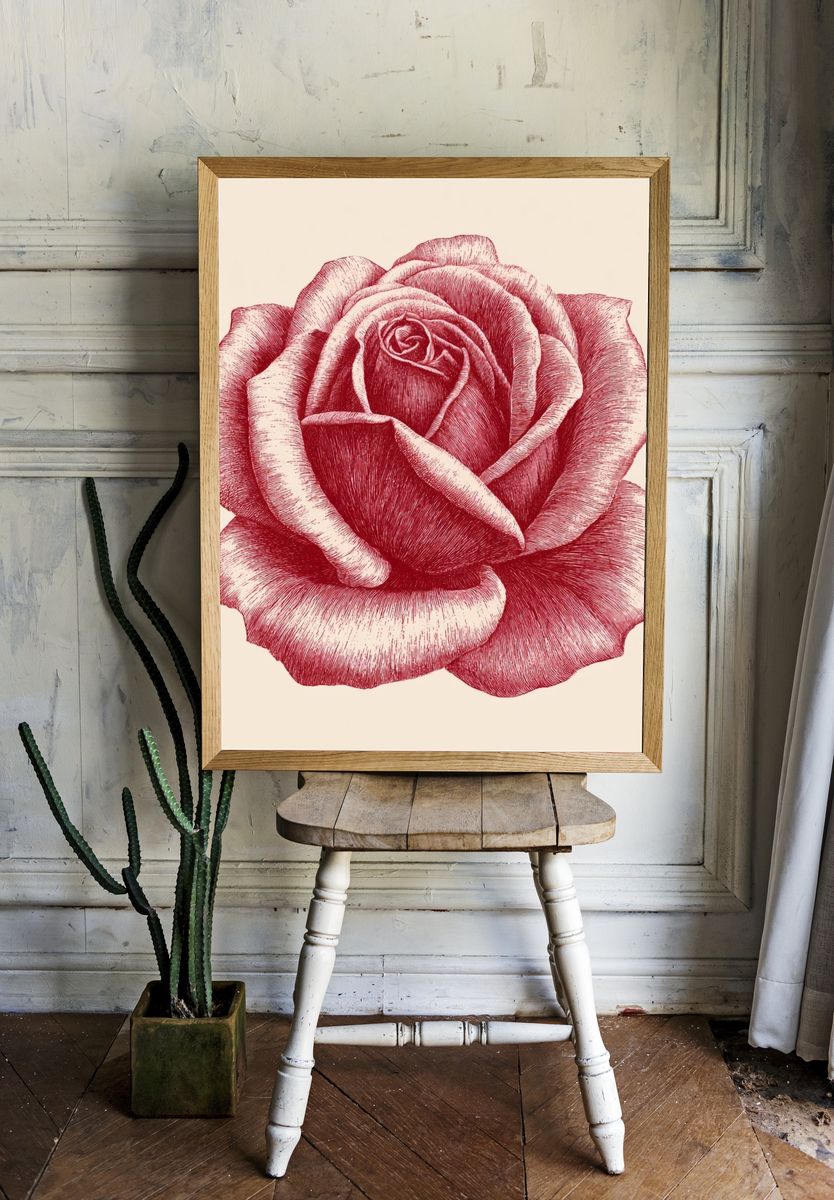 Red Rose Botanical Print. — room view 1