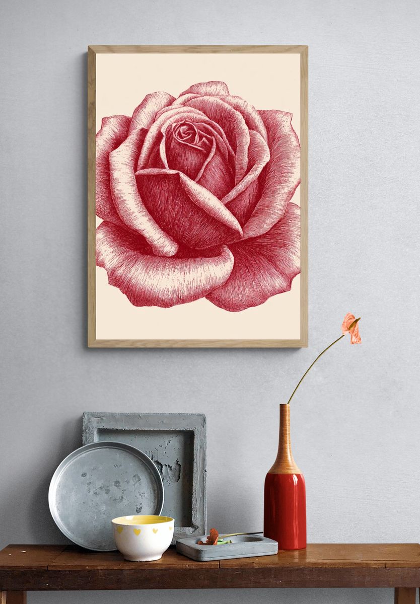 Red Rose Botanical Print. — room view 3