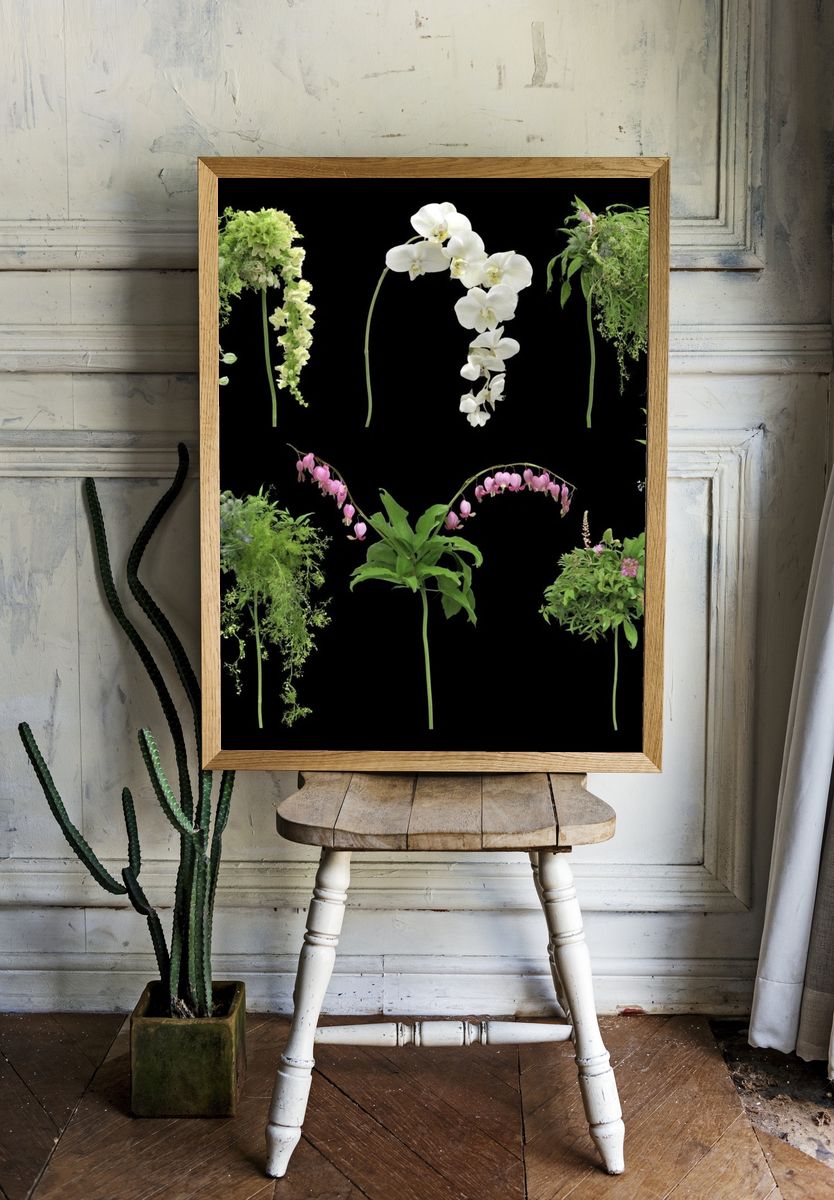 Botanical Floral Study Poster. room preview