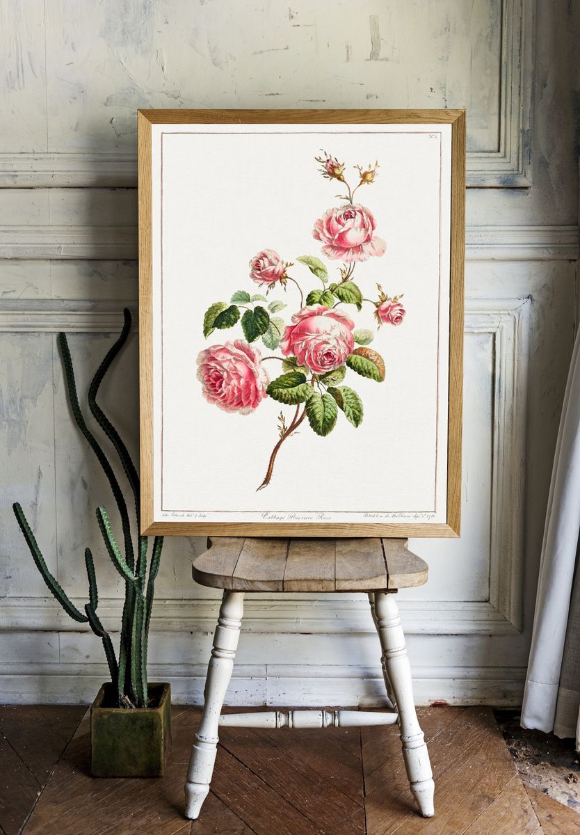Collection Flowers Drawn Nature. — room view 1