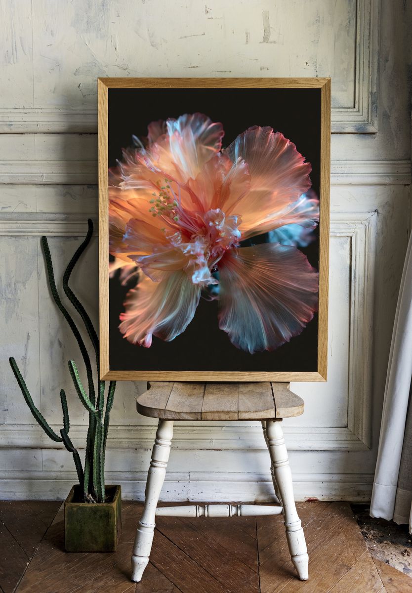 Glowing Hibiscus Bloom Photography Poster. room preview